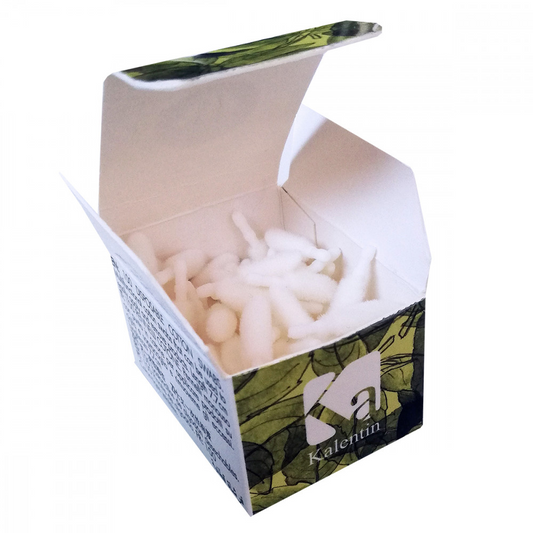 Replaceable Tips - Vegan Cotton Swabs - 100 stk